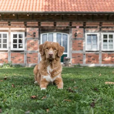 Fachwerk-ferienhaus, Ruhe Auf Dem Land, Haustiere Willkommen, Leihfahrraeder, 24-7 Check In Vakantiehuis