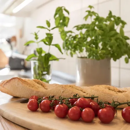 Fachwerk-ferienhaus, Ruhe Auf Dem Land, Haustiere Willkommen, Leihfahrraeder, 24-7 Check In Vakantiehuis *