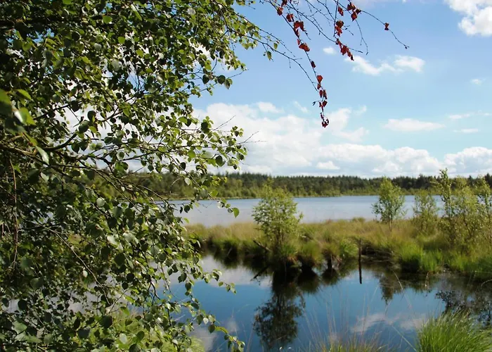 Fachwerk-ferienhaus, Ruhe Auf Dem Land, Haustiere Willkommen, Leihfahrraeder, 24-7 Check In *